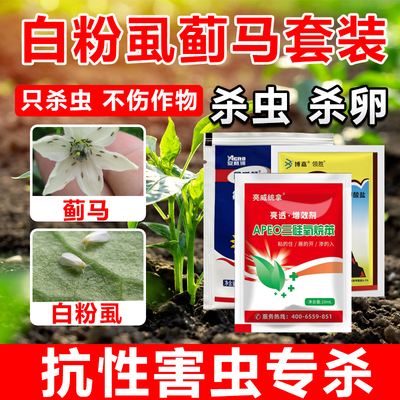 亮威抗性白粉虱蓟马特配虫卵通用蚜虫白粉虱夜蛾全周期家用杀虫剂