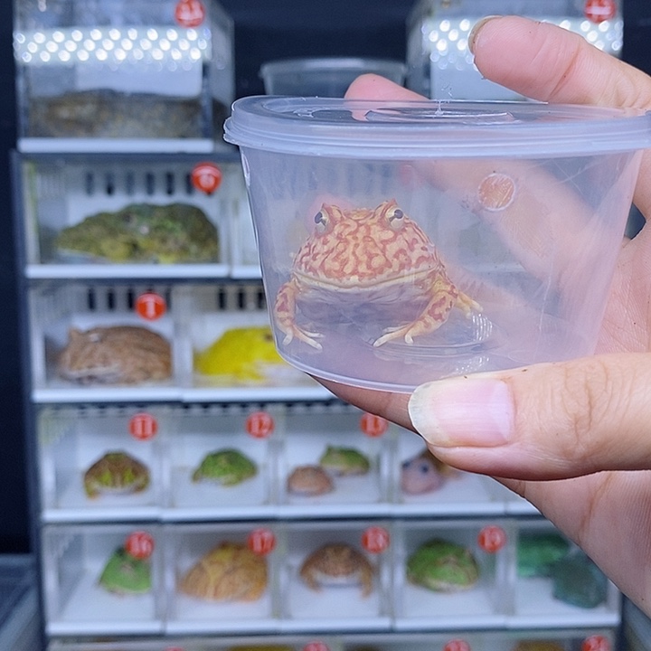 特价秒杀现货特价