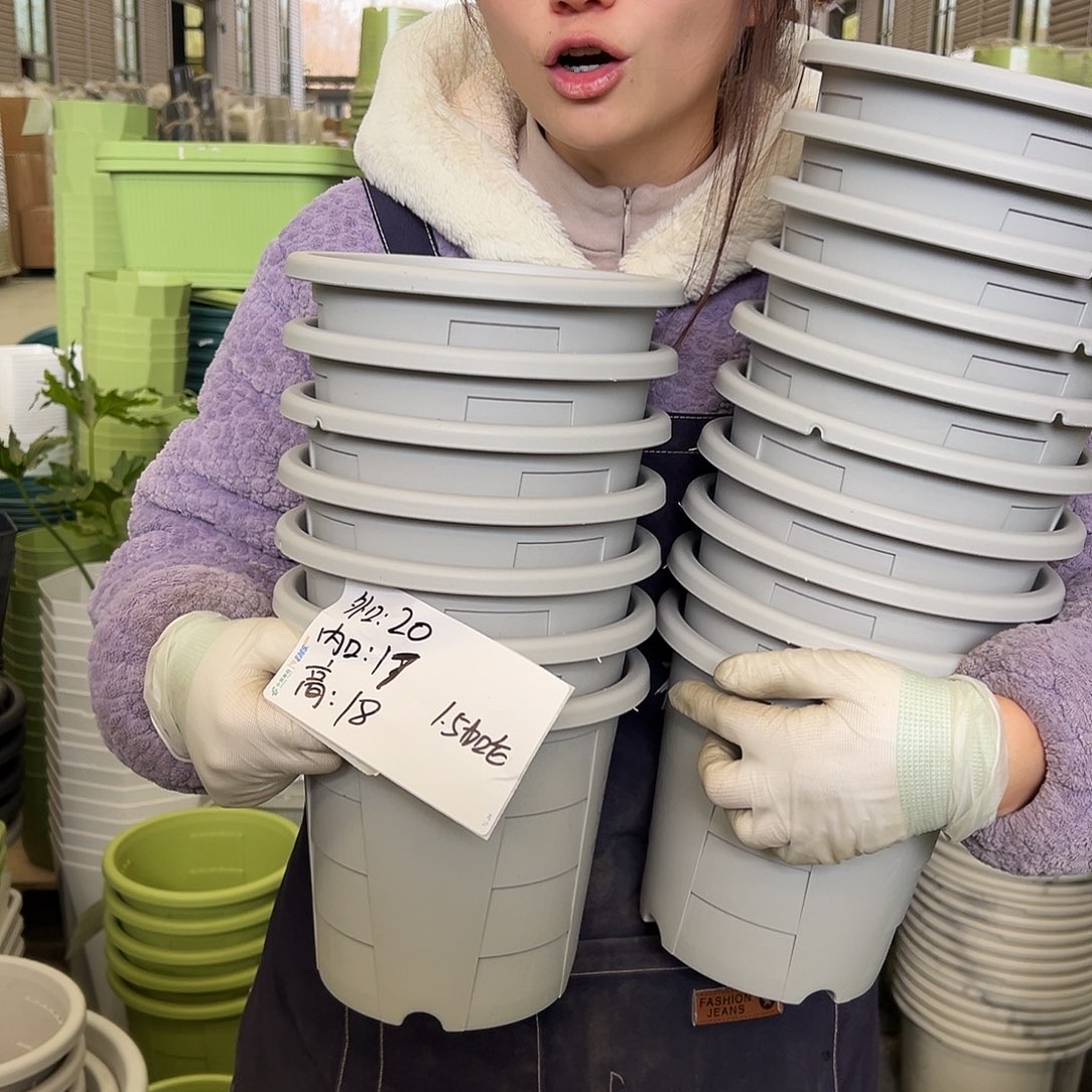 瑕疵玫瑰盆200#灰白10个无托