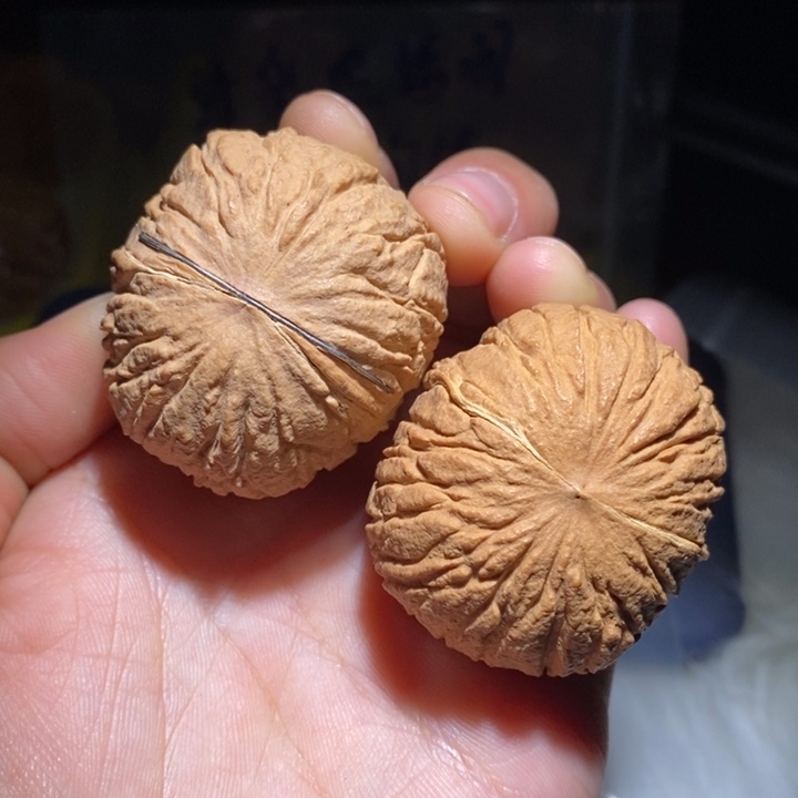 破***风吊坠文玩核桃精品课程和专业培训教材以及