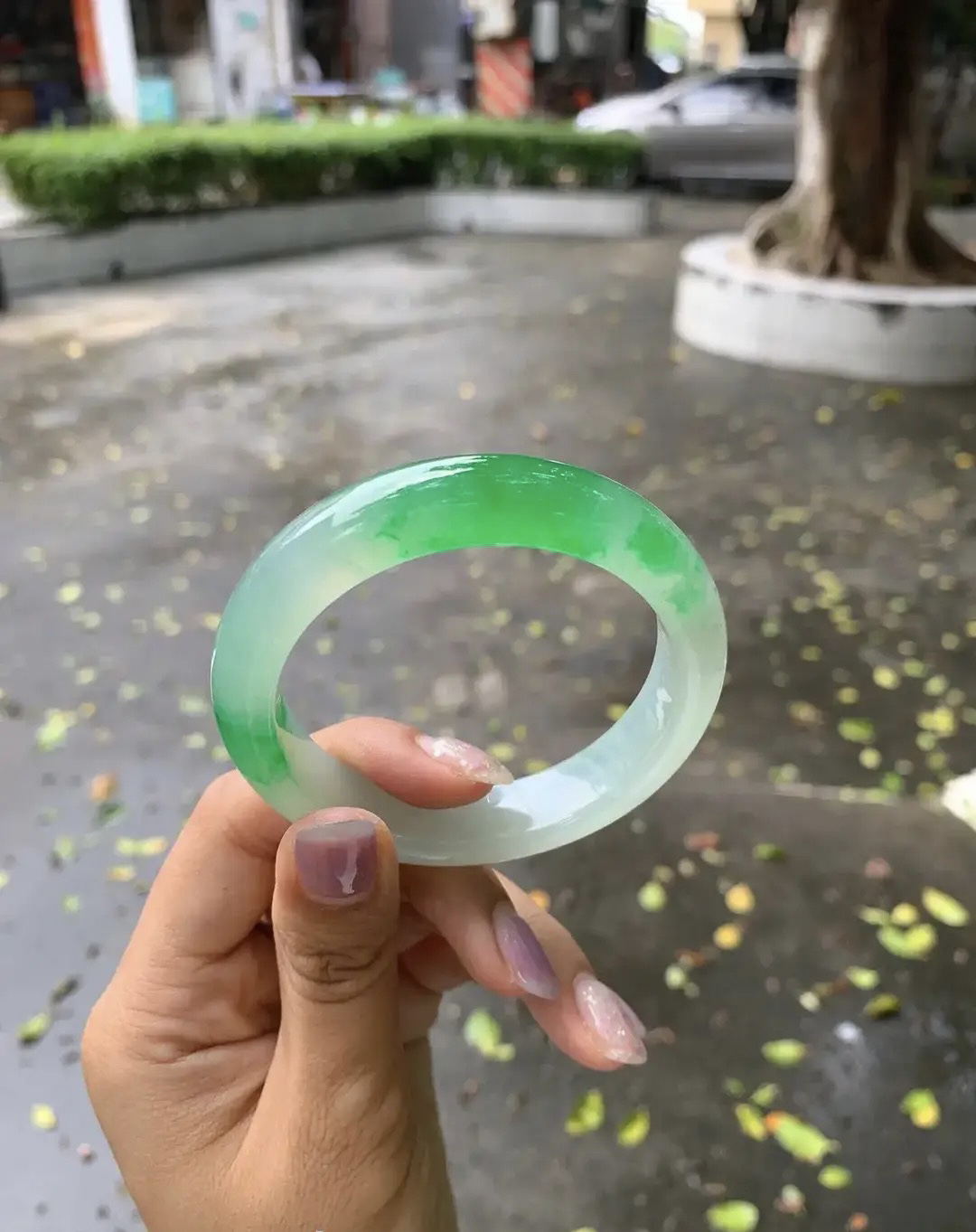 非金属珐琅手镯 早 高冰飘花晴水飘阳绿
