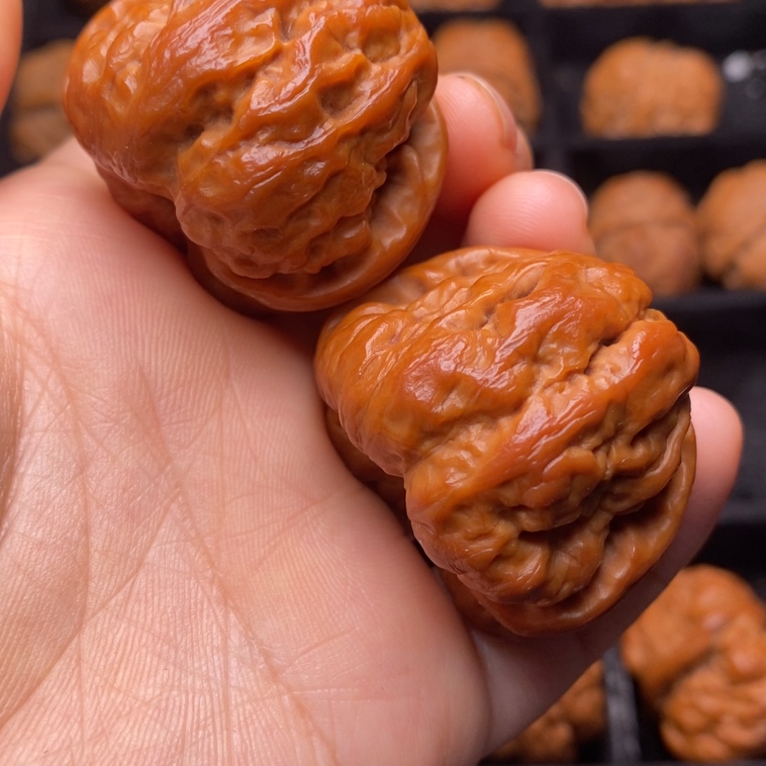 文玩核桃把件秦岭野生核桃