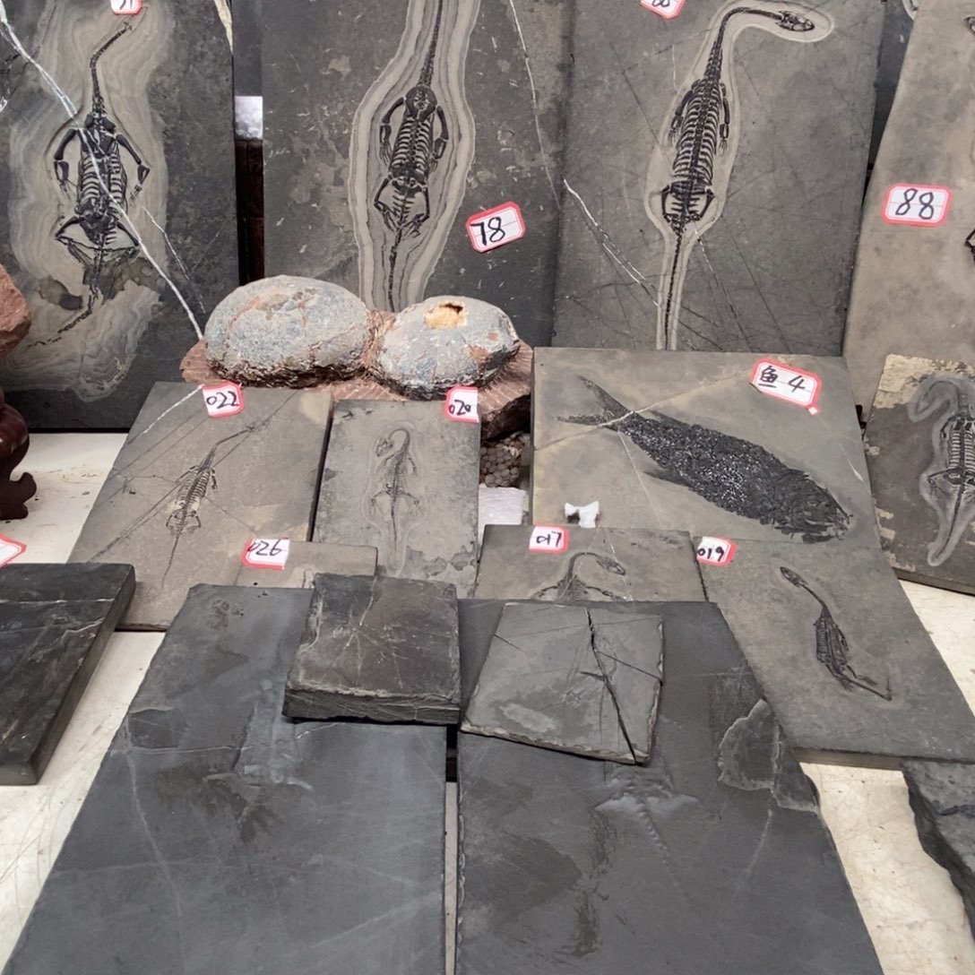 石材城*大自然的秘密就是这样神奇