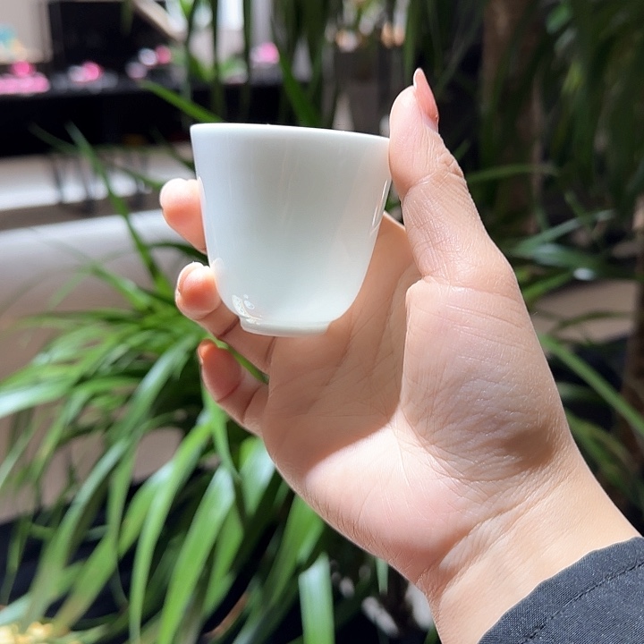 瓷片图来咯哦呜呜兔