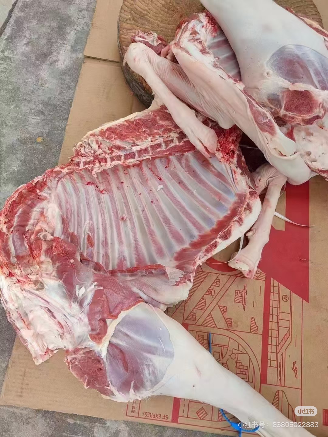 一物一拍 羊排 3【直播间使用】