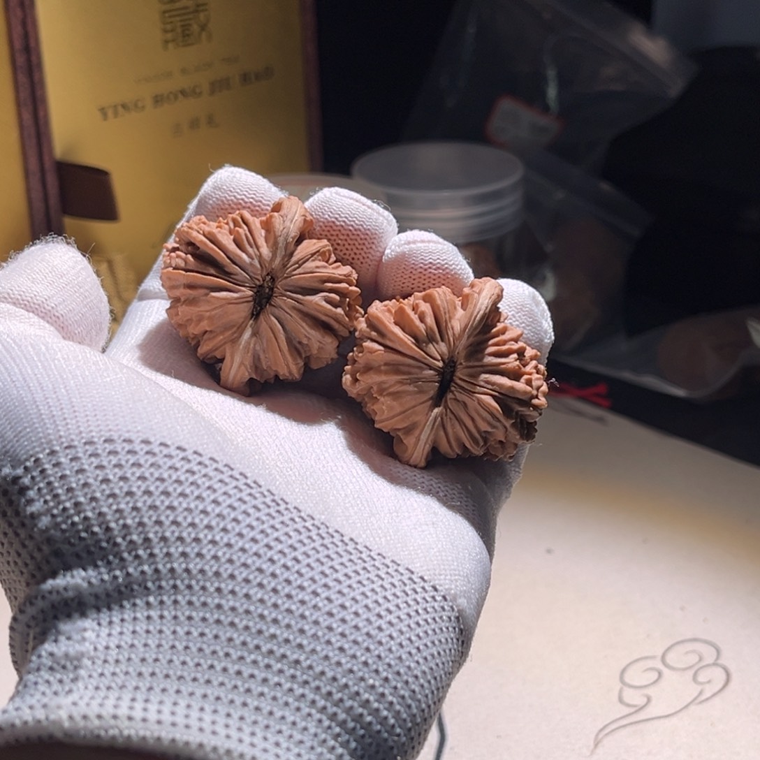 ****金楼子 楼子 楼子 楼子。