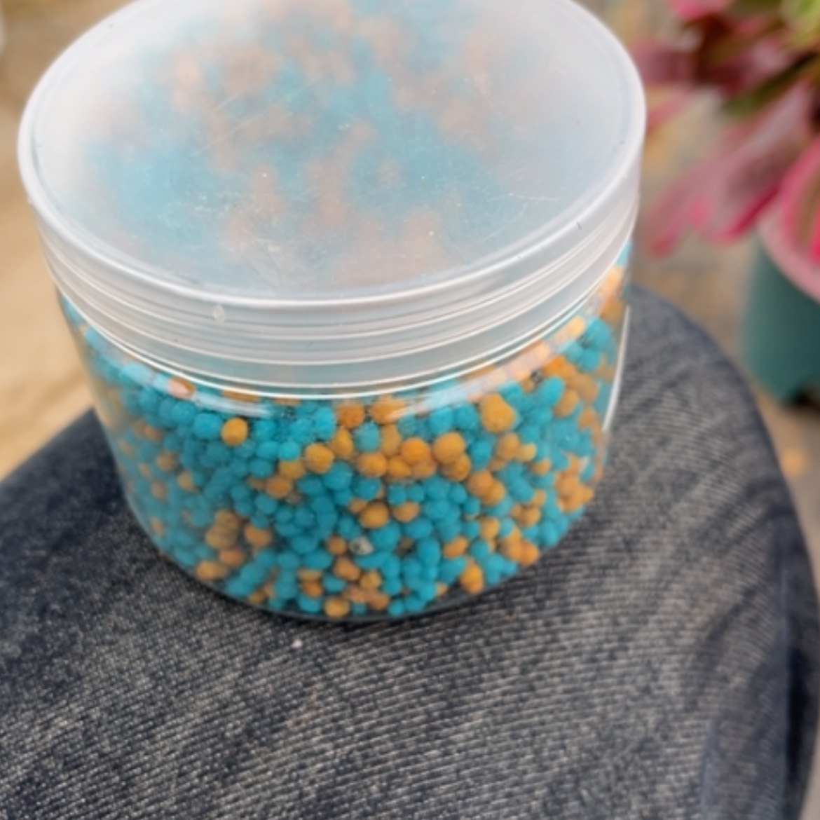 【闪购商品】肥多肉法师