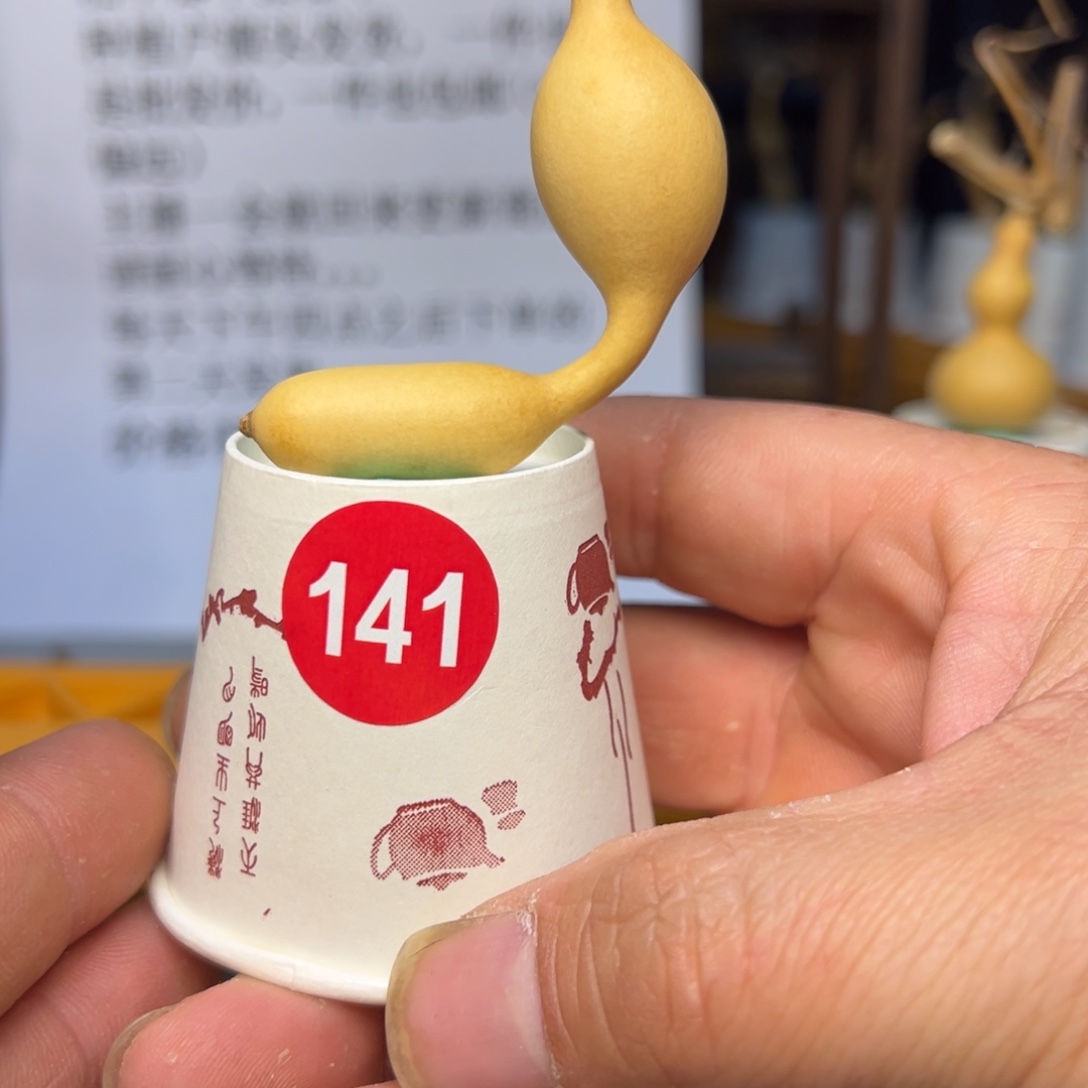 闪电购自助下单编号141