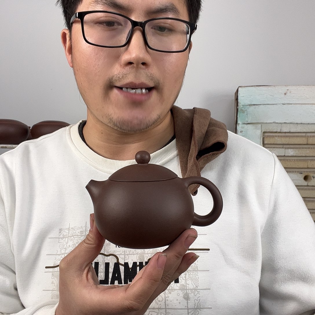 紫砂茶壶紫泥大西施