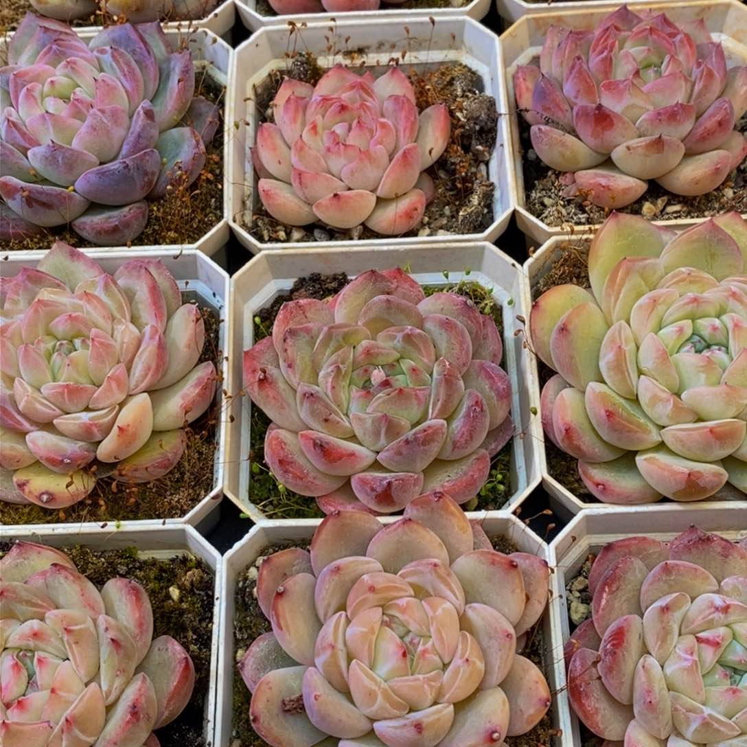 627的人和我一起看