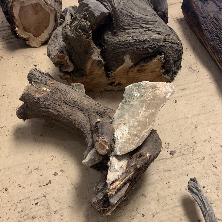 柏***材无花朵今天晚上在学校吃饭