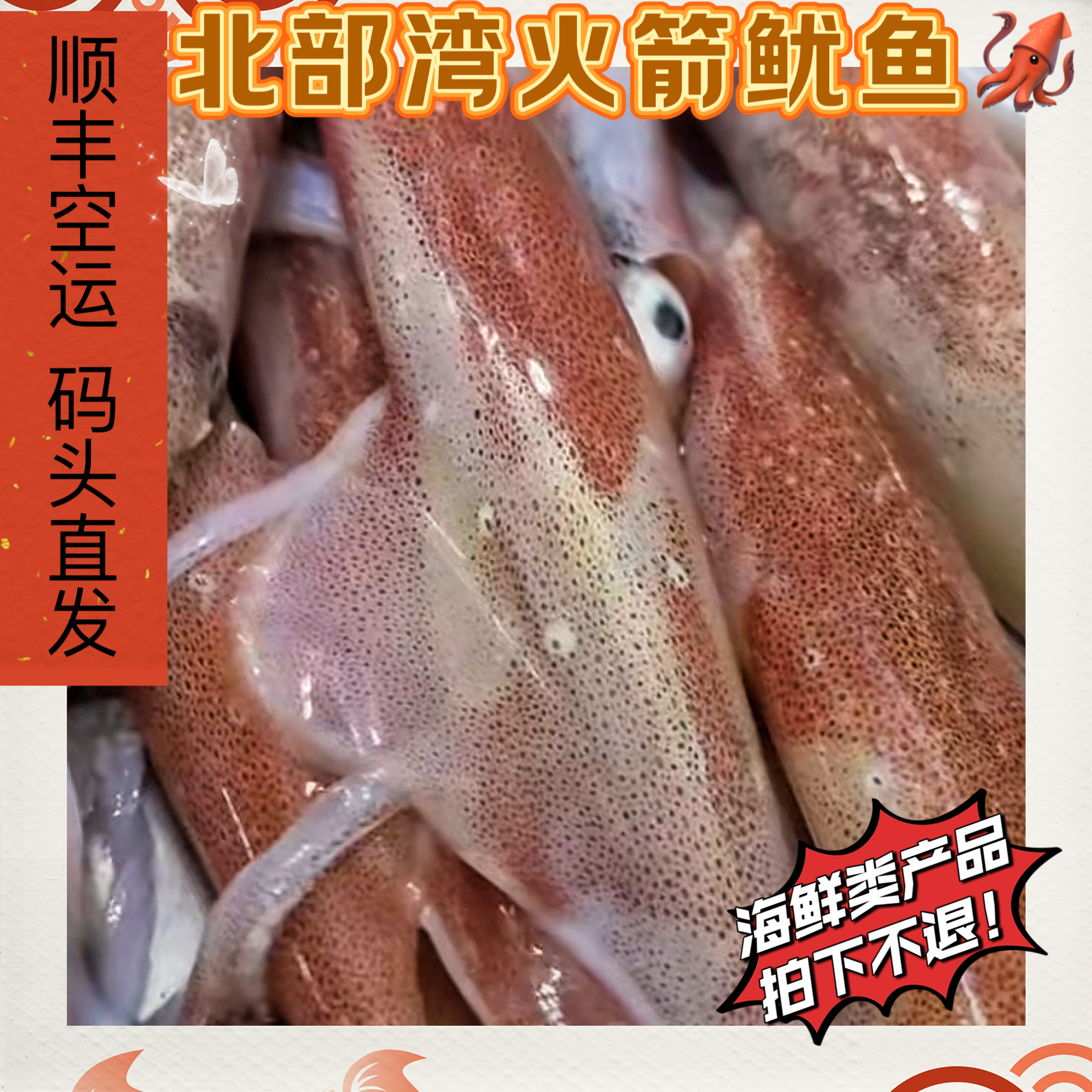 北部湾鱿鱼广西北海码头直发 冷冻发货（海鲜产品拍下不退）