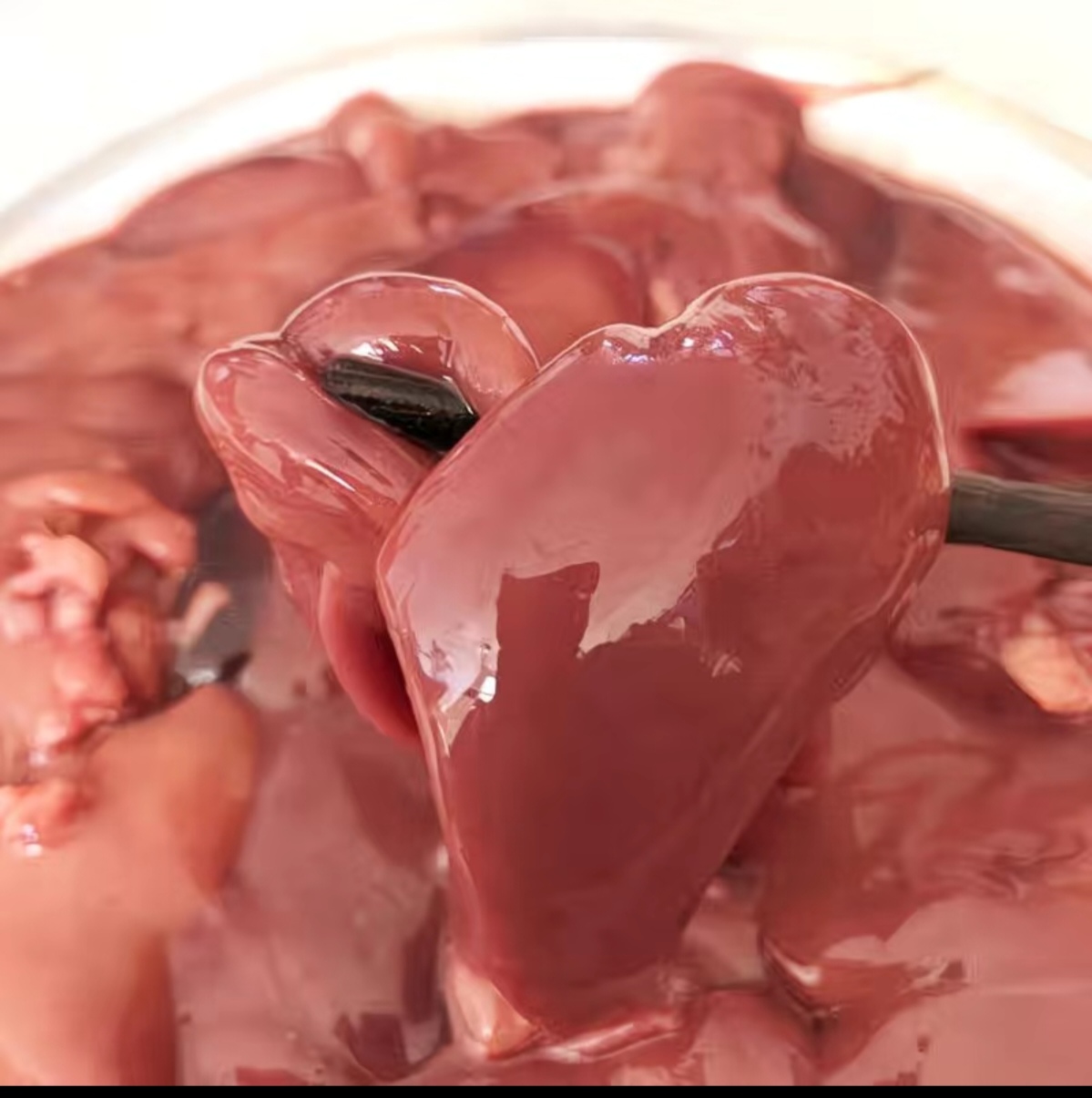 东北鸡肝，小鸡肝