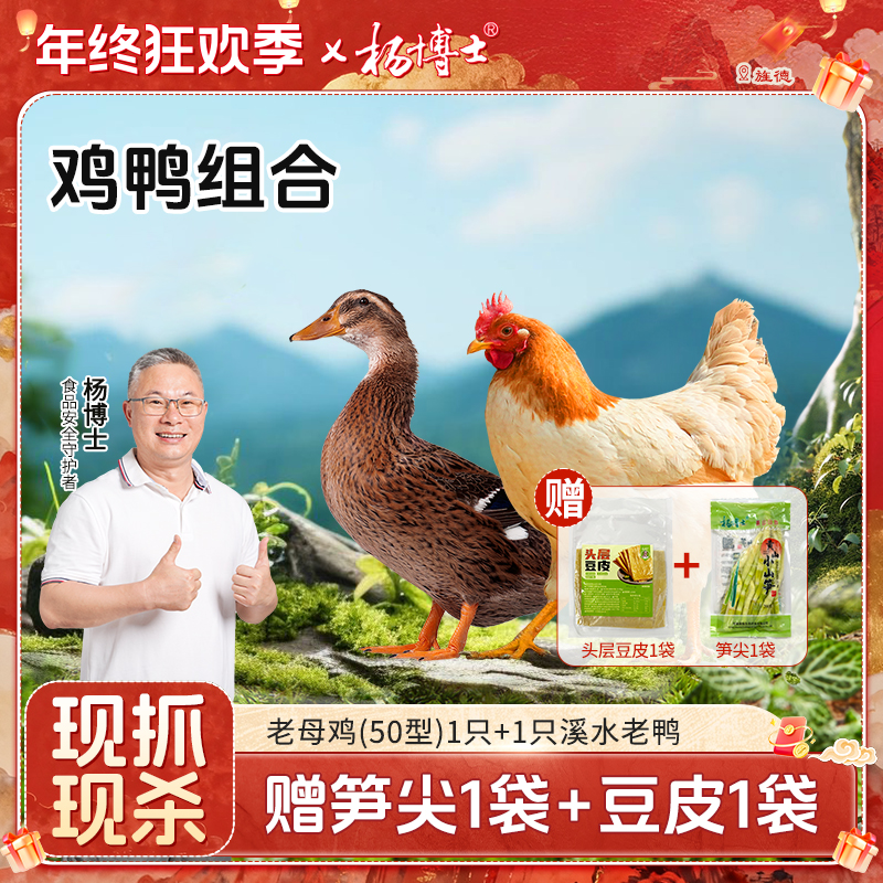 杨博士【鸡鸭组合】土鸡皖南深山散养新鲜老母鸡土鸭新鲜现杀老鸭子