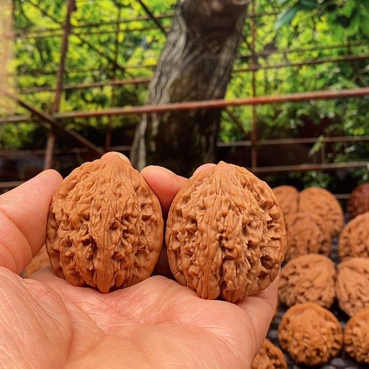 亚***斯文玩核桃吊坠百年老树堂虎核桃