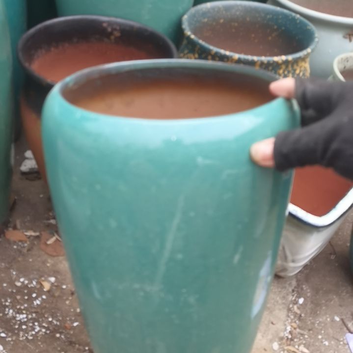 红陶19/37瑕疵一个