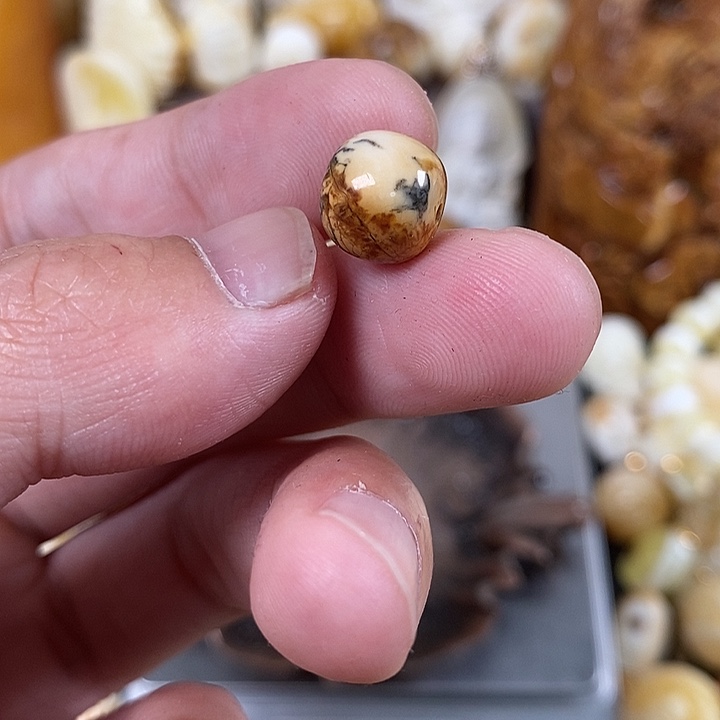 琥珀裸石未镶嵌我