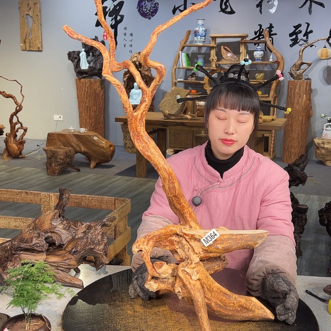 木可***泡364ggggggggggggggggg