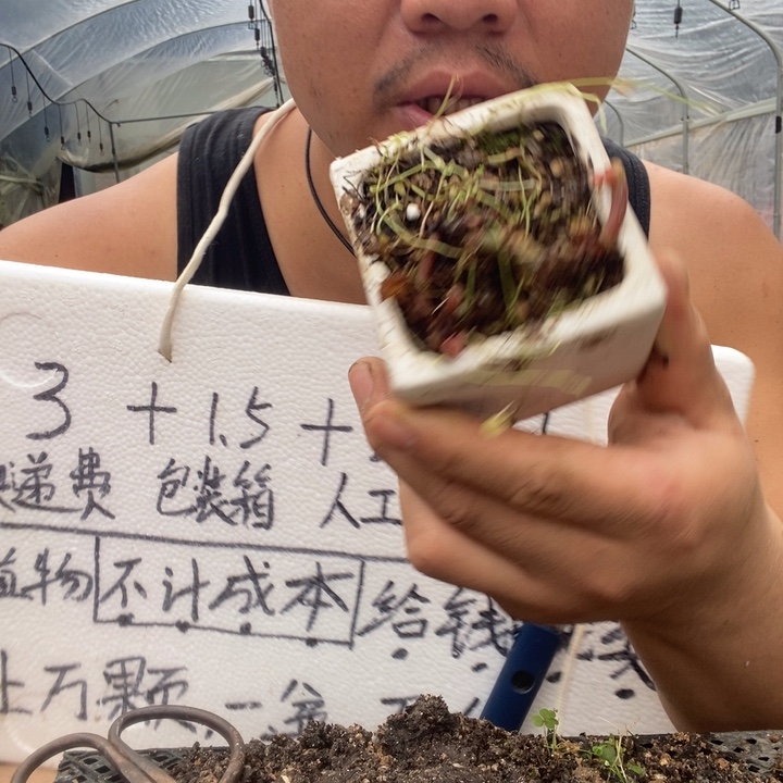 退款拉黑一物一拍27