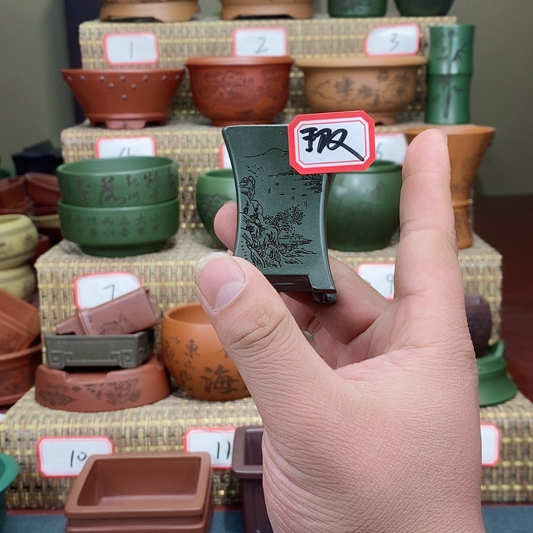 紫砂花盆我在等一