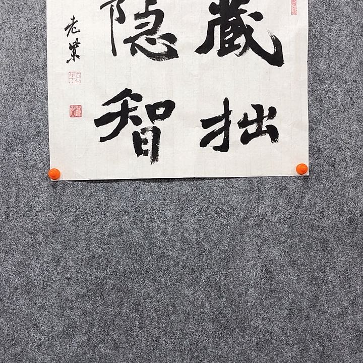 回金华老师作品藏拙隐智45×34厘米