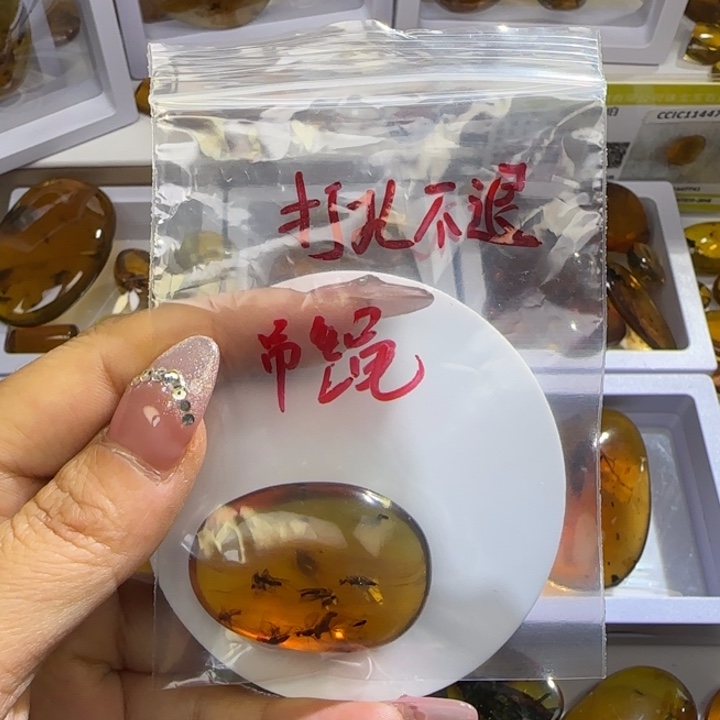 用***7琥珀未镶嵌裸石虫珀标本