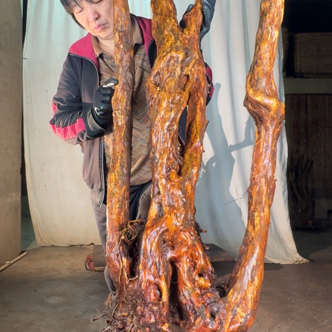 东***理888888888888888888