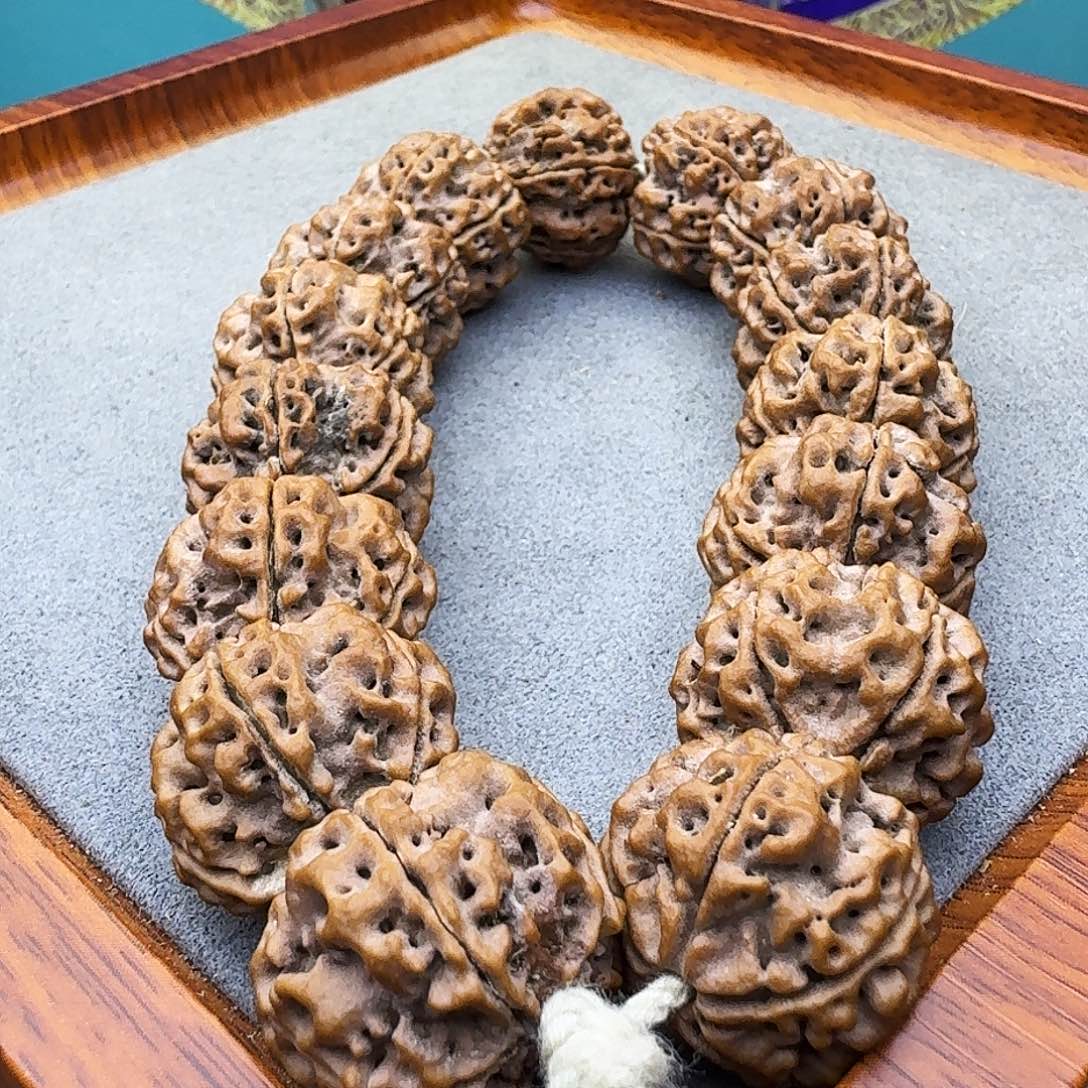 金刚菩提手串铁籽蜂窝双龙2