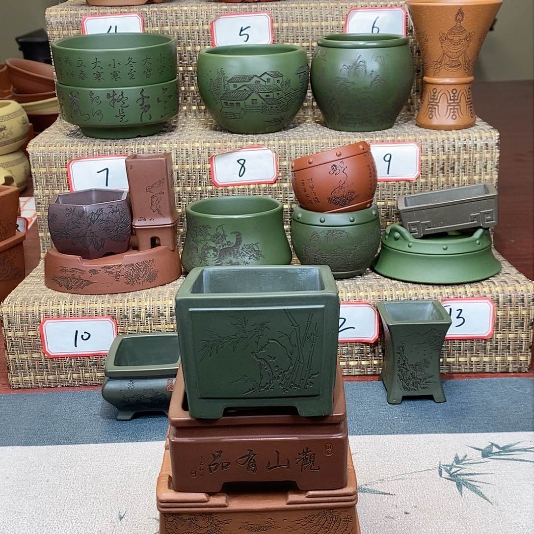 紫砂花盆宝*你是谁啊