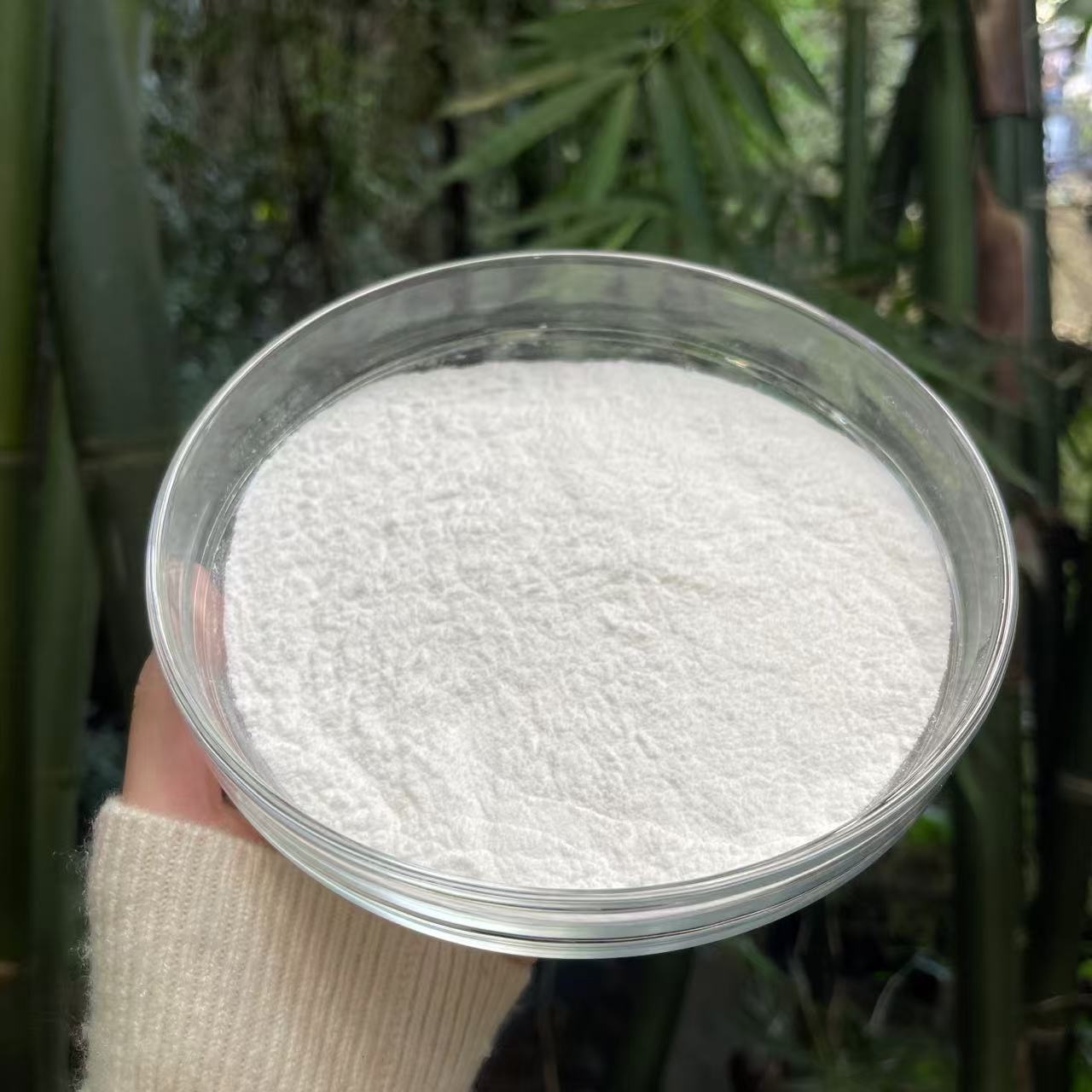 1【白-桦-树-粉-菇】净含量100g-500g 【金金现收】