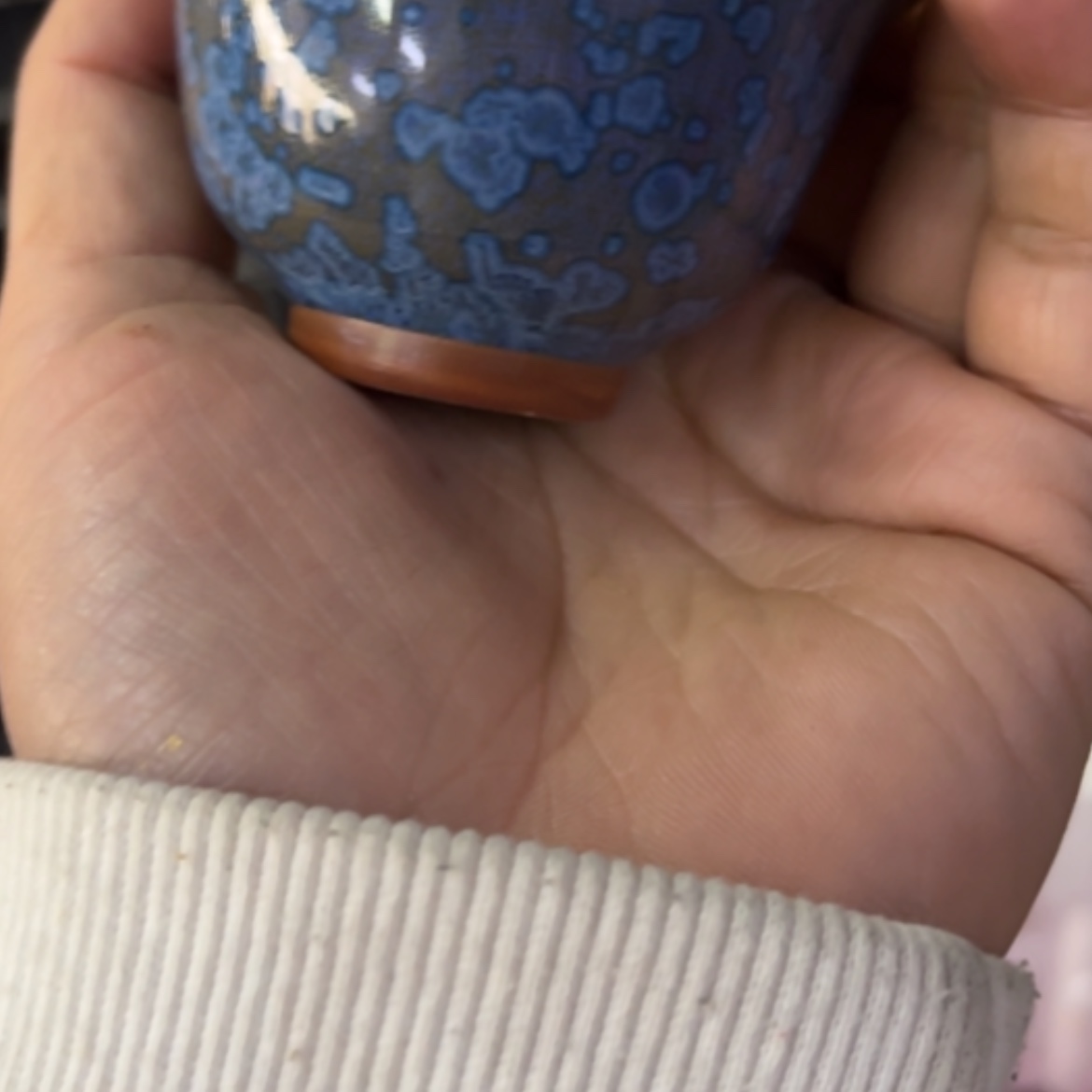 【闪购商品】55555555555555555555