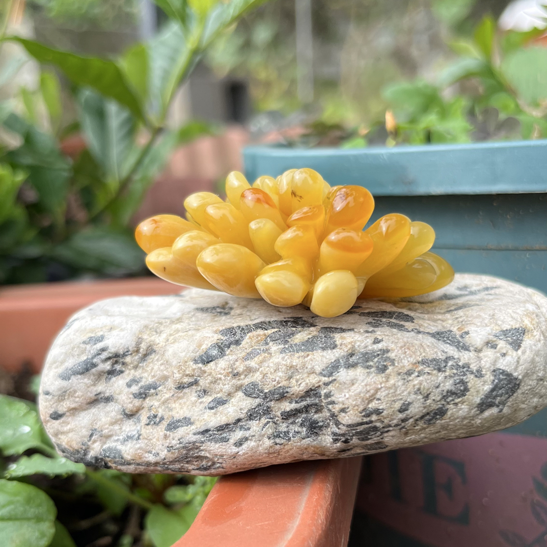 天然岫玉玉石王花玉多肉小摆件