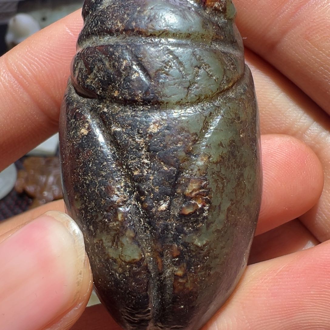 盘七天鉴赏期 一物一图