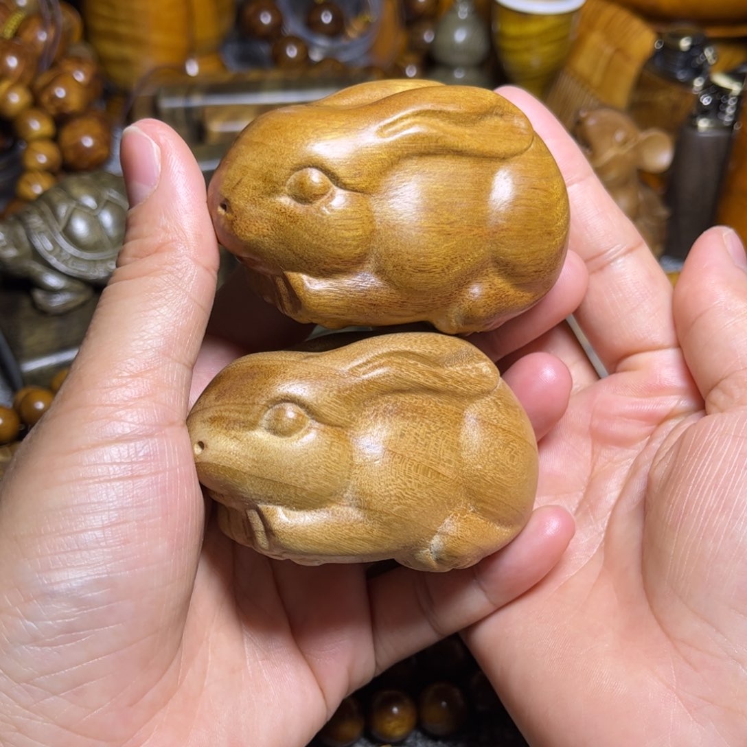 金丝楠一对福利兔子