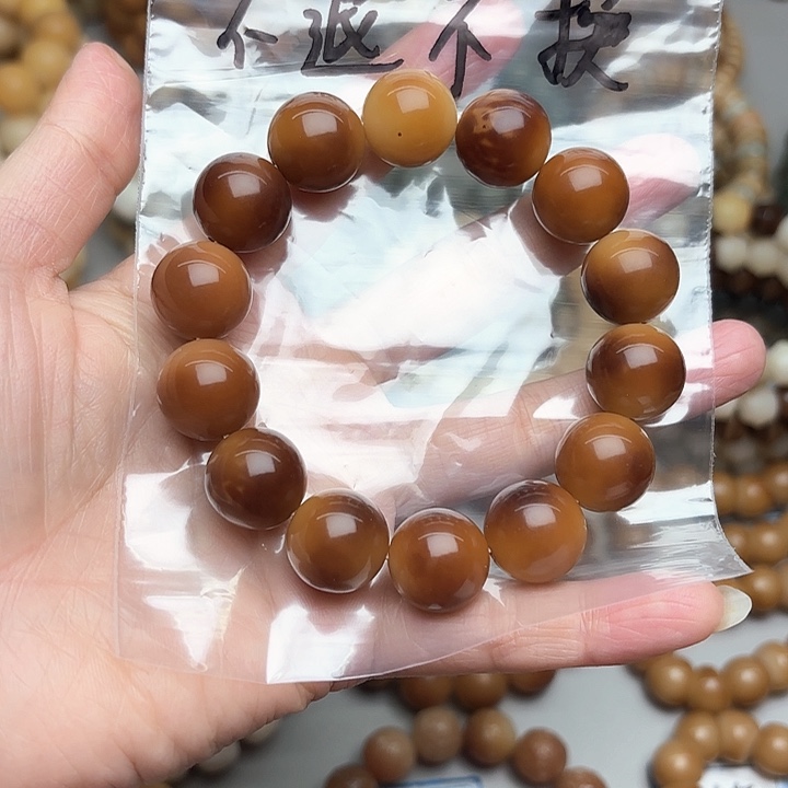 菩提根/象牙果手串