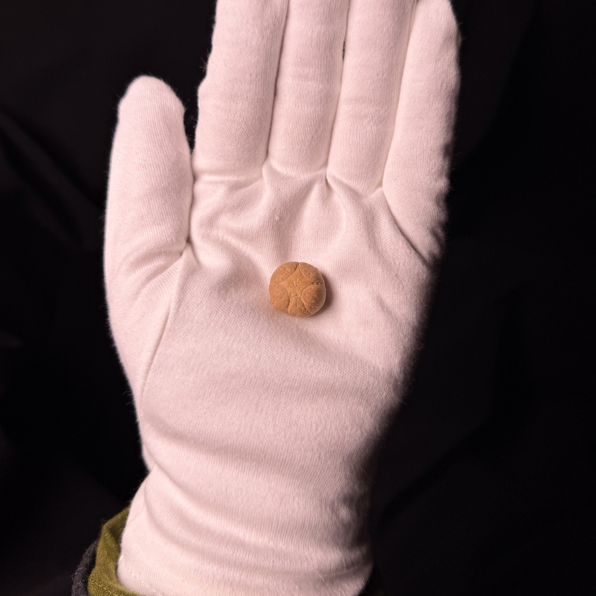 20.5mm尼泊尔凤眼菩提五星麒麟眼三通奶油皮