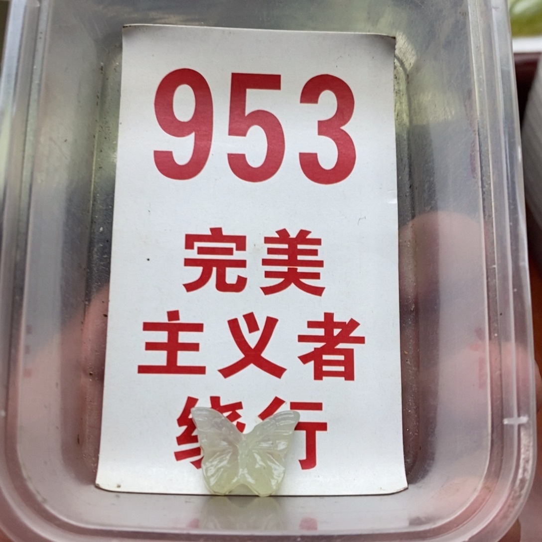 蛇纹石玉未镶嵌挂坠