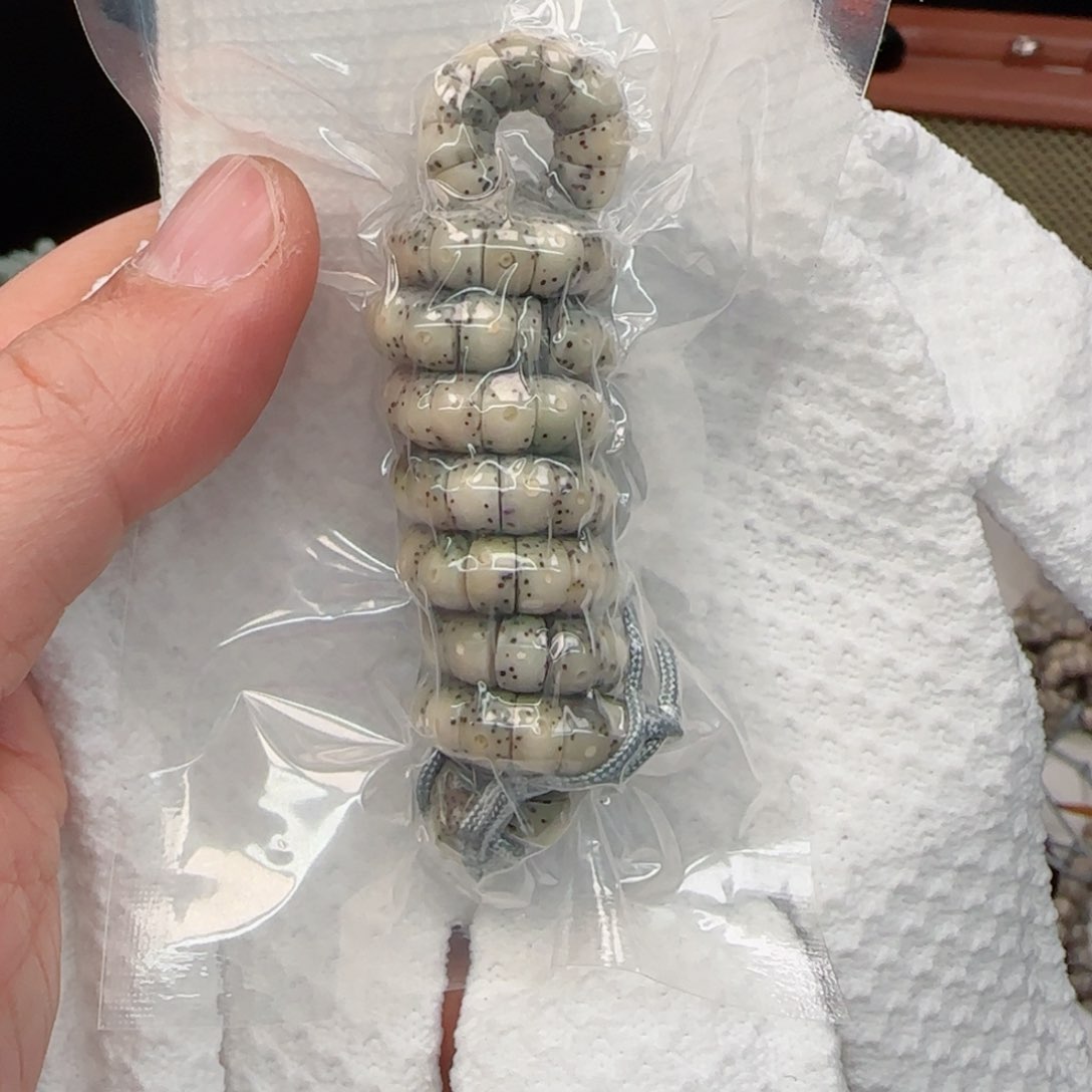 星月菩提手串同枝果糯冰大肠7mm