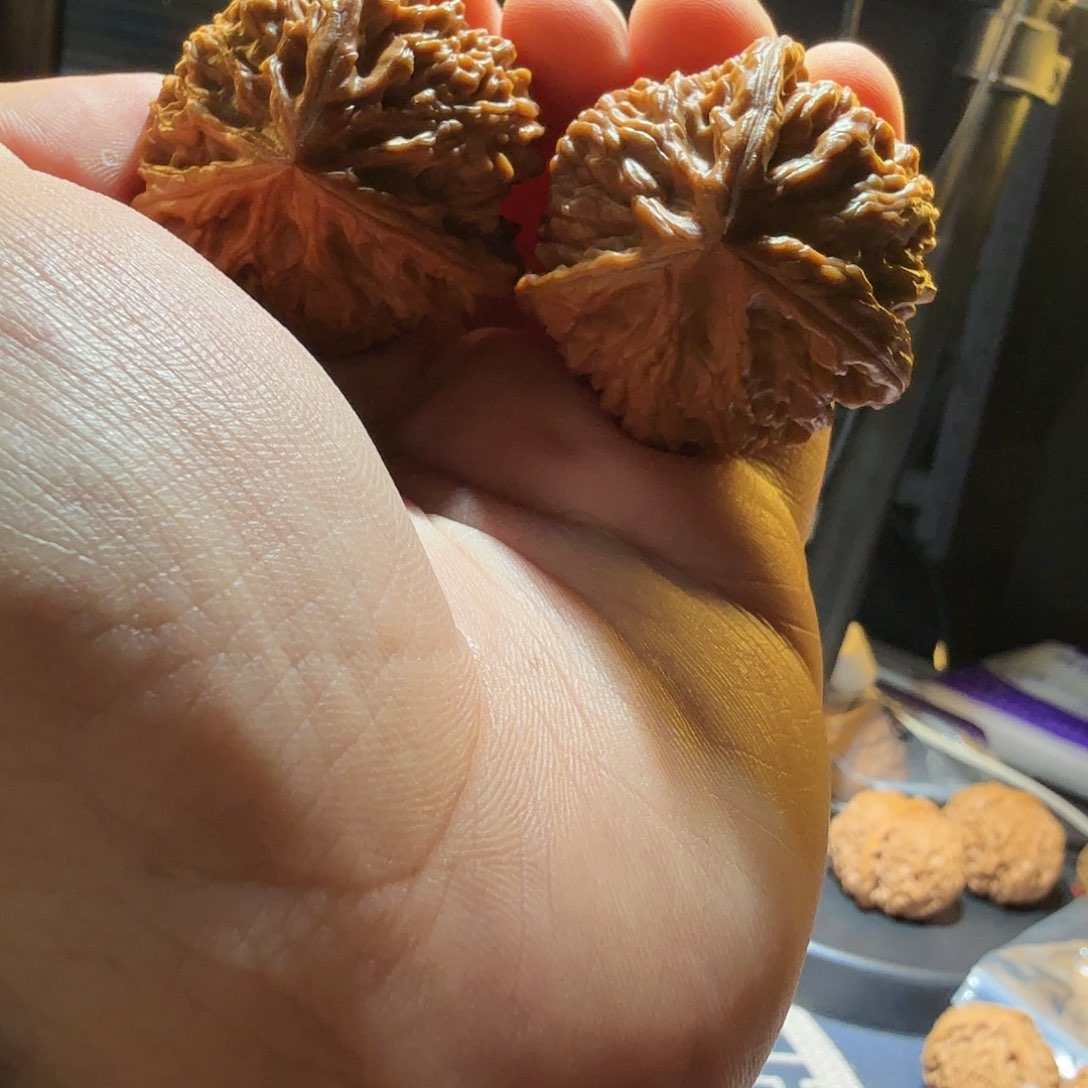 文玩核桃把件御龙正奔