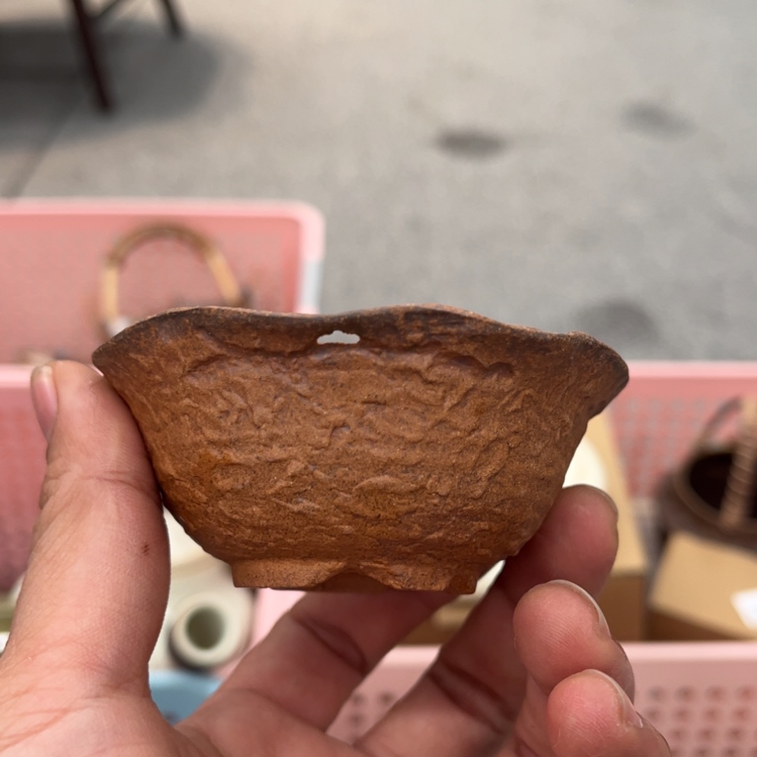 围炉音乐会的票票了，我