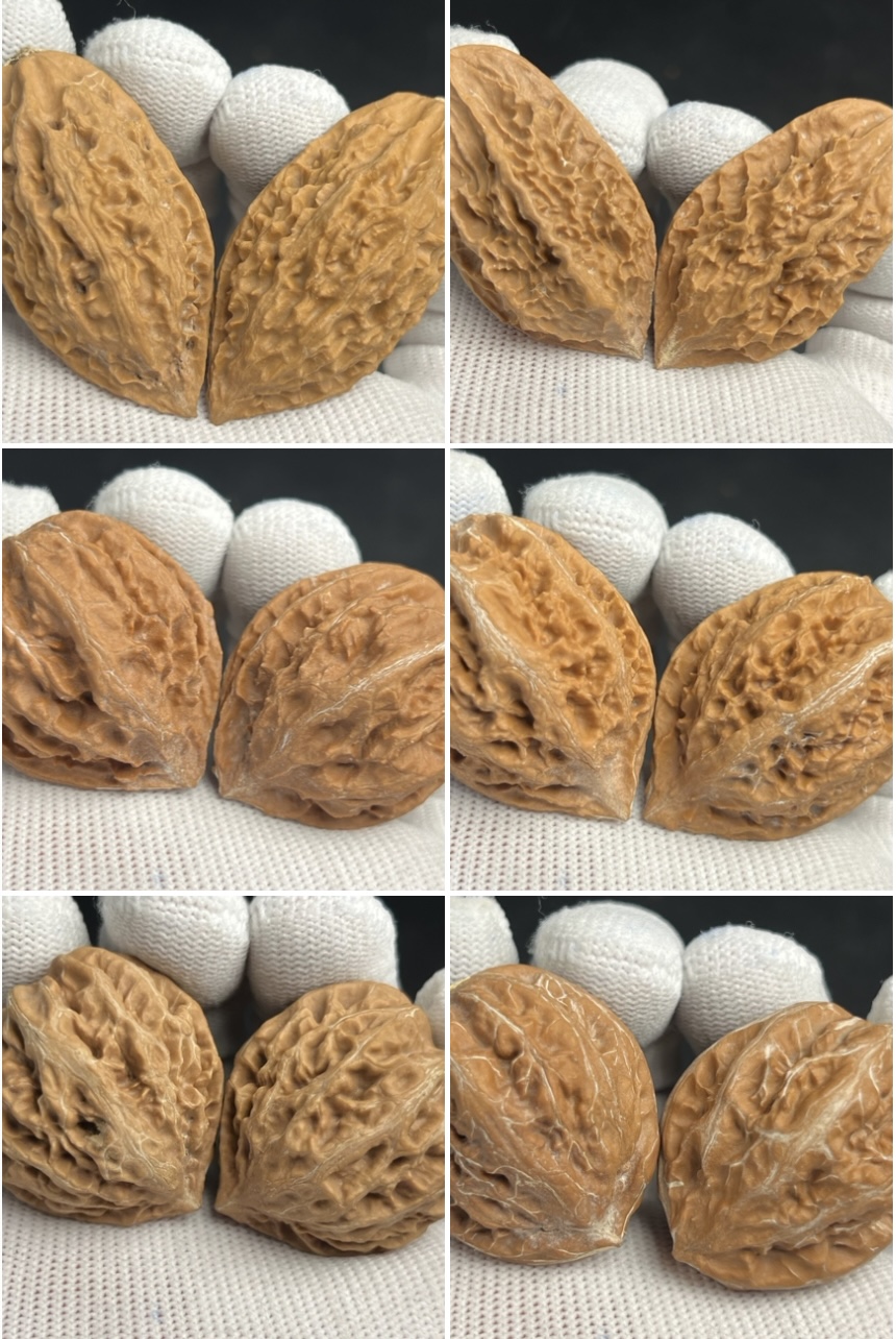 新人福利优质全品秋核【初级体验】