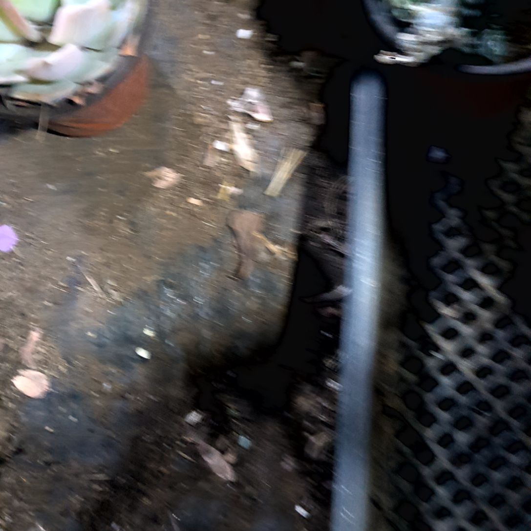 满6元包邮，大颗沙漠骆驼