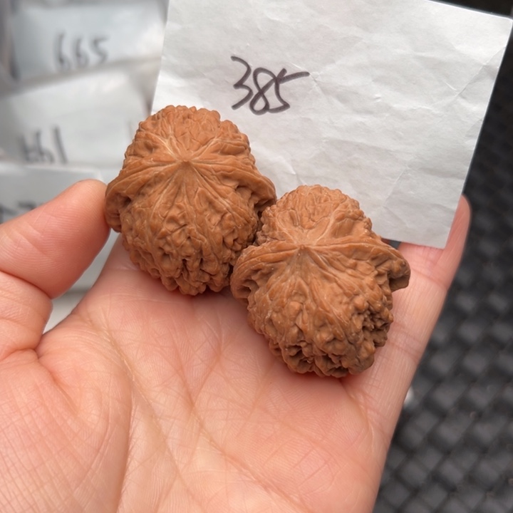 核桃38尺寸平谷凹底全品