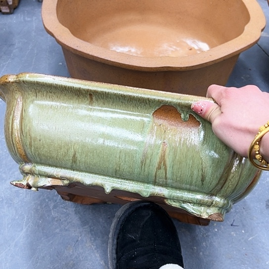 红陶南*园紫砂花盆里放的东西太