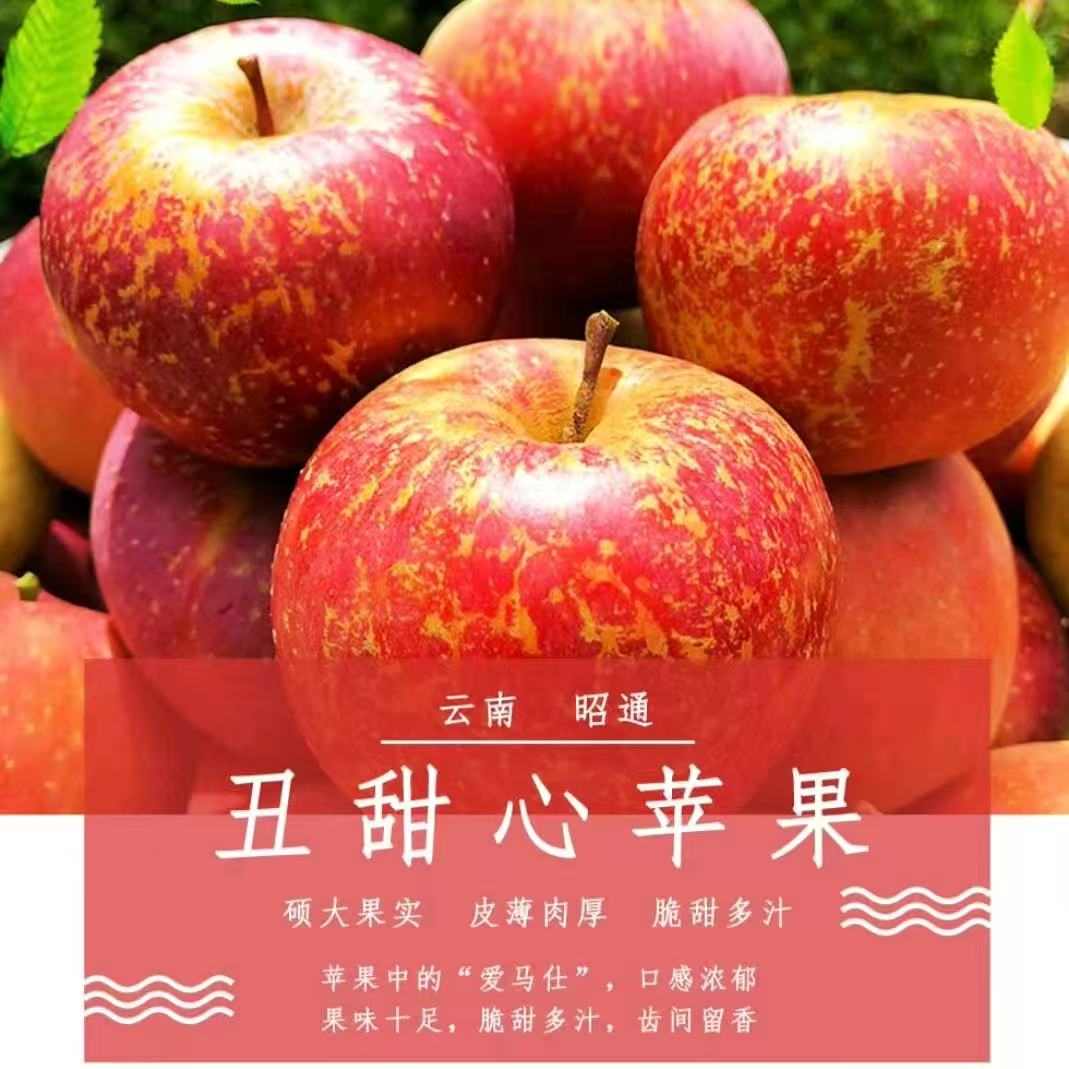 2025年云南昭通红露冰糖心丑苹果新鲜水果产地直发