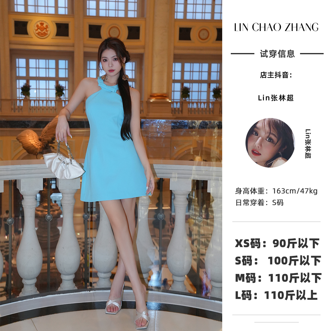 【知更鸟】挂脖蝴蝶结礼服裙  LL240266