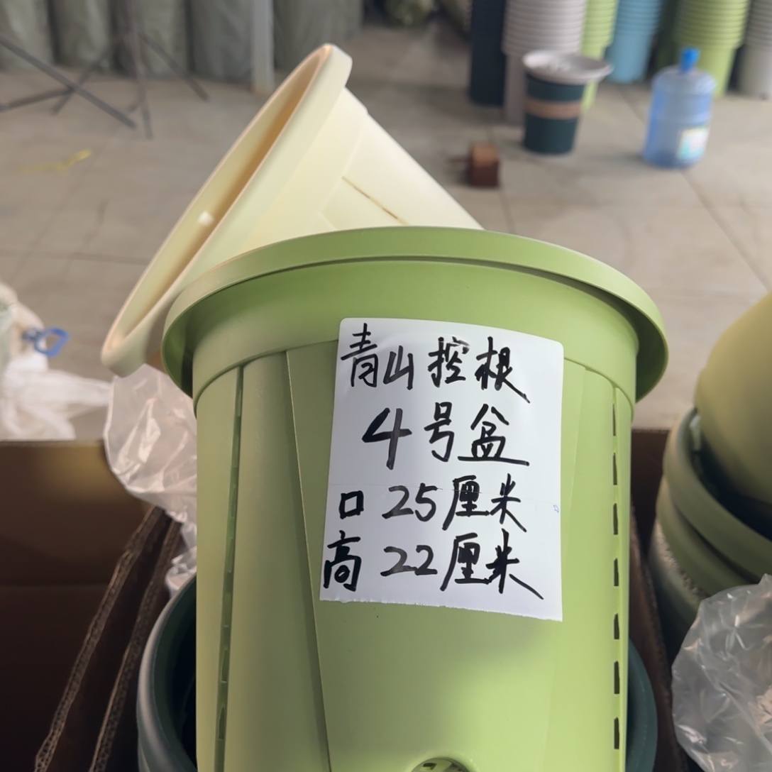 塑料青山控根4号果绿6个无托