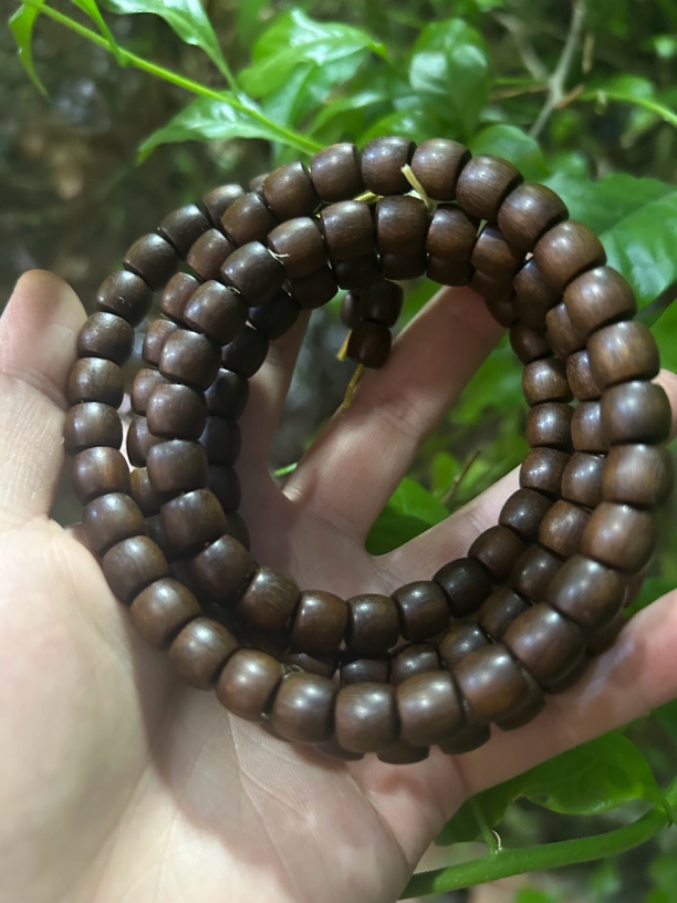 【土特产菇44】净含量60g