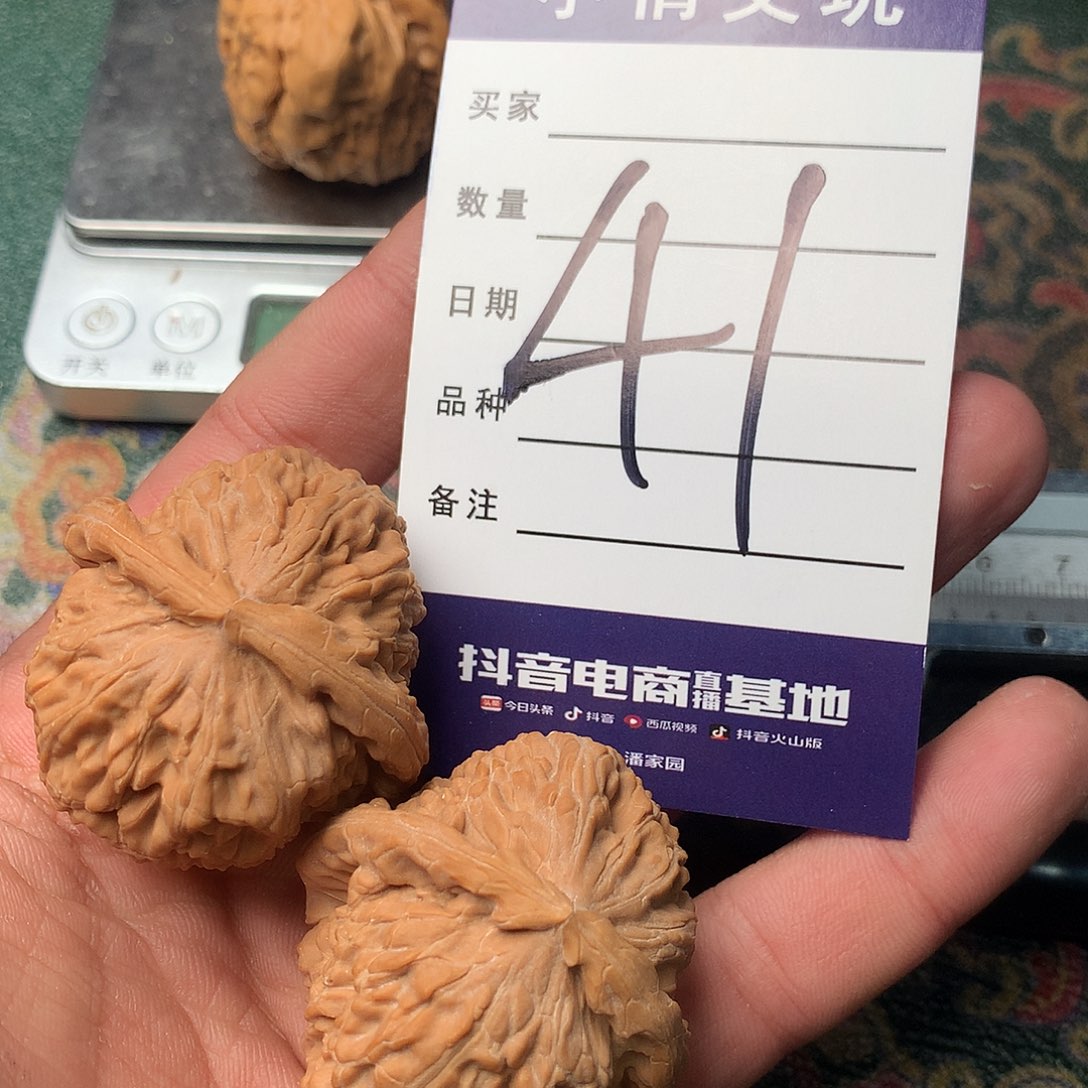 文玩核桃把件白狮子