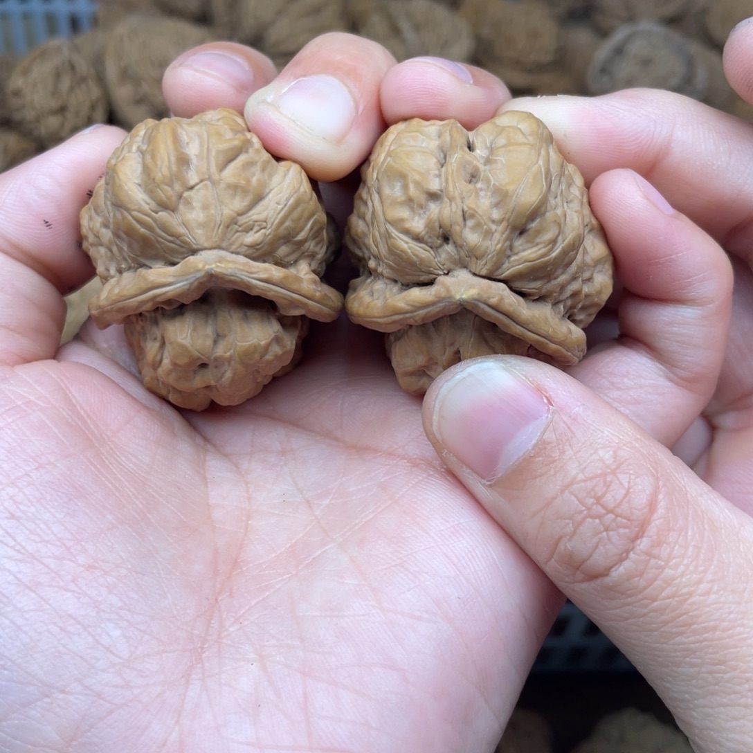 吊坠文玩核桃343836蛤蟆醒师